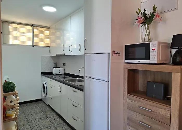 Olas Palmeras アパート プラヤ・デル・イングレス